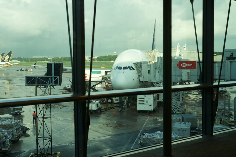 Day 4: A day of travel and Singapore Reflections