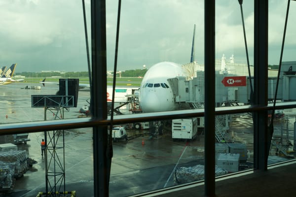 Day 4: A day of travel and Singapore Reflections