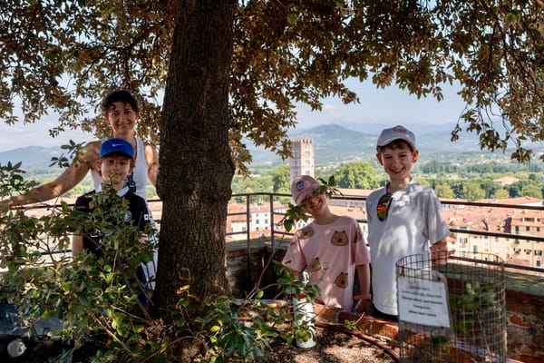 Day 24: Lucca's Ancient Walls, Mosaic Masterpieces, and Artisanal Pasta