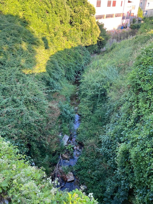 Day 20 Buti Tuscany