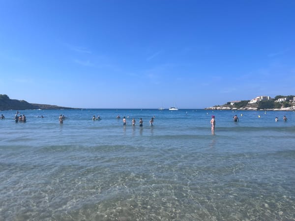 Day 57 - Wild Goats, Sandy Shores, and a Taste of Switzerland