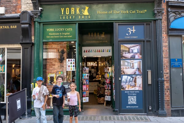 Day 92 - The Cats of York